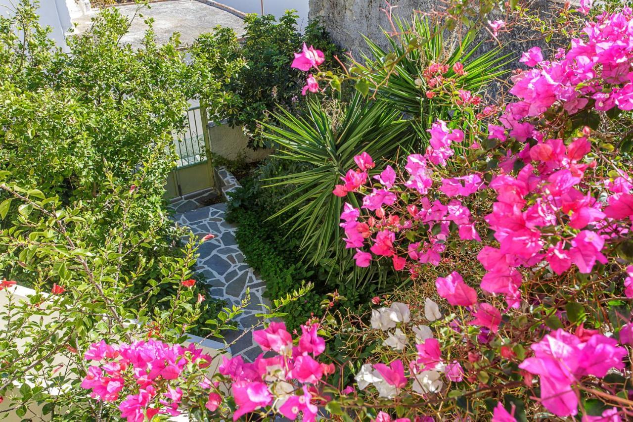 Villa Vienna Kato Viannos Екстериор снимка